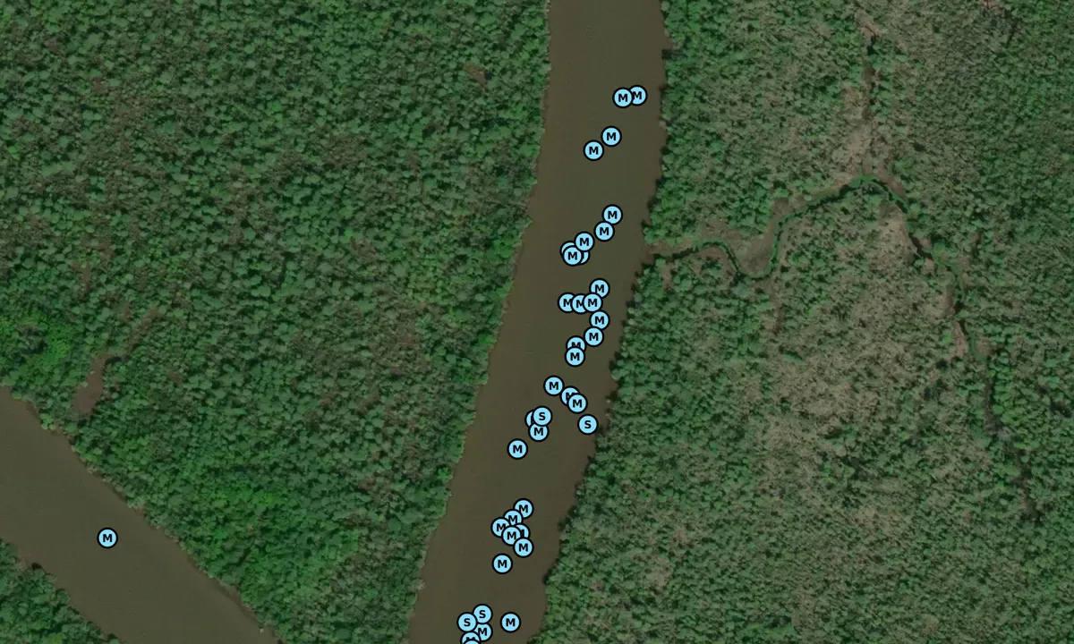 Satelite image of Briar Creek