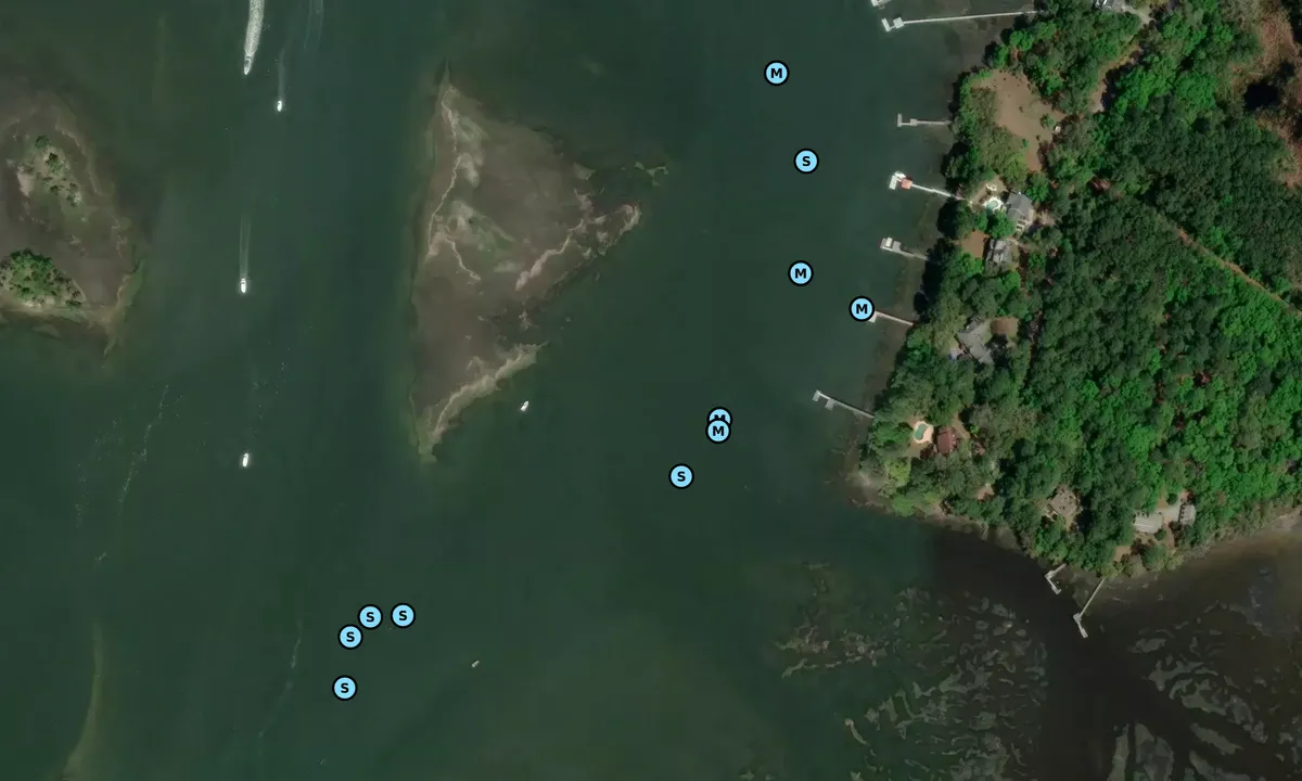 Satelite image of Brickyard Creek - 1