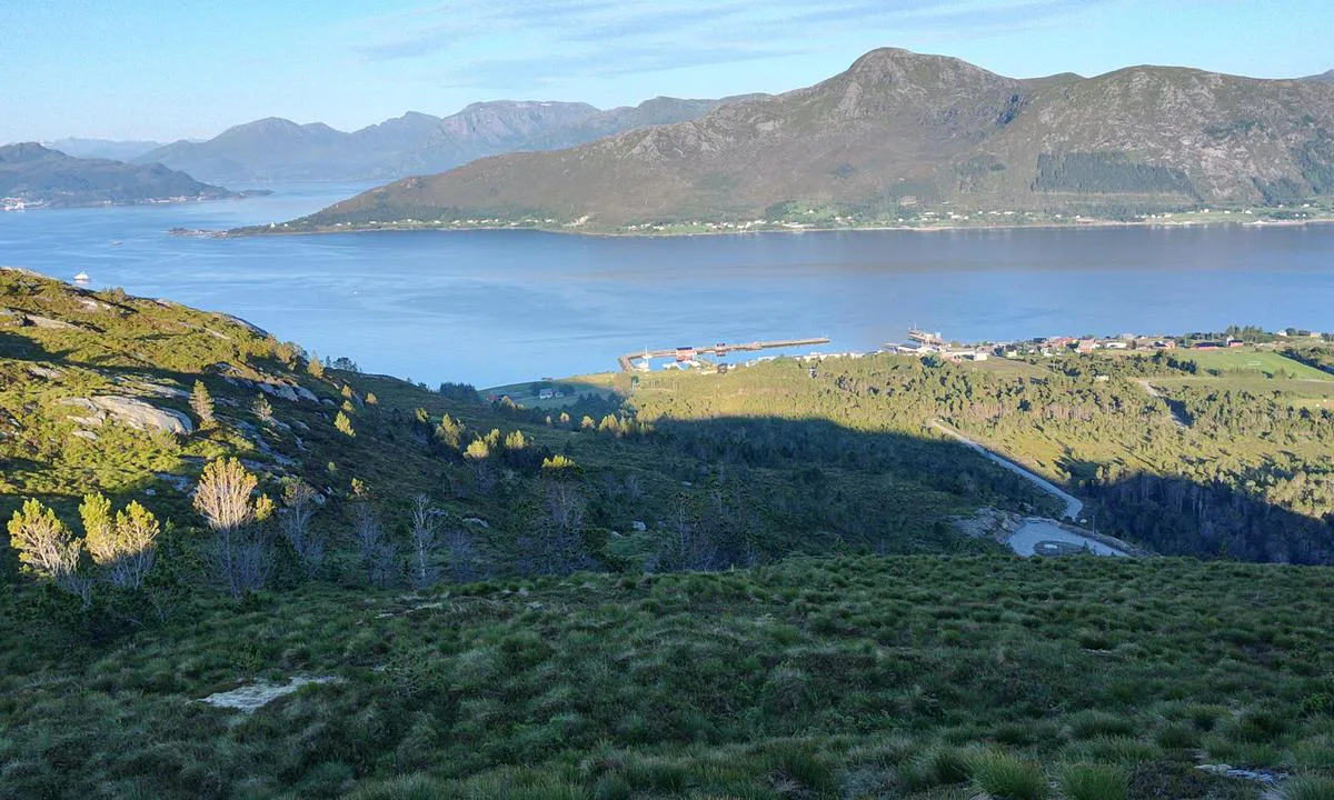 Bringsinghaug: {"base": "no", "no": "Fint turomr\u00e5de i n\u00e6rheten med grusvei opp til Myravatnet. Utsikt mot havnen.", "se": "Fint utflyktsomr\u00e5de i n\u00e4rheten med grusv\u00e4g upp till Myravatnet. Utsikt mot hamnen.", "en": "Nice hiking area nearby with a gravel road up to Myravatnet. View towards the harbor.", "da": "Sk\u00f8nt turomr\u00e5de i n\u00e6rheden med grusvej op til Myravatnet. Udsigt mod havnen."}