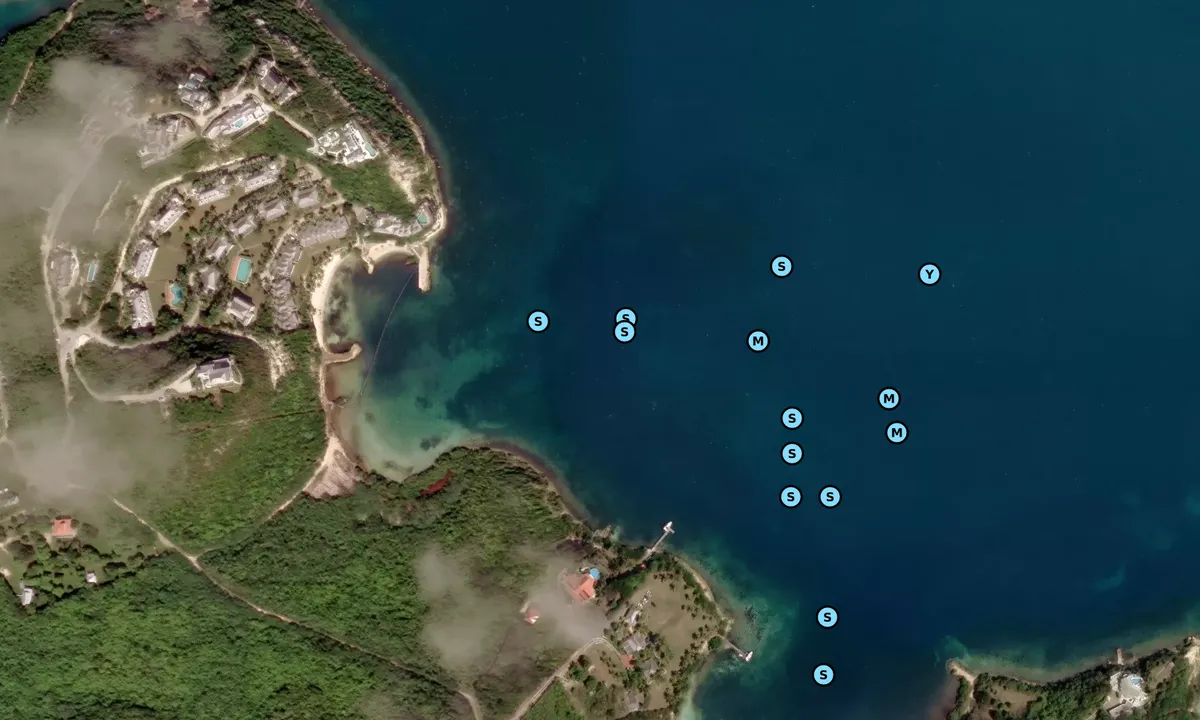 Satelite image of Brown's Bay 1