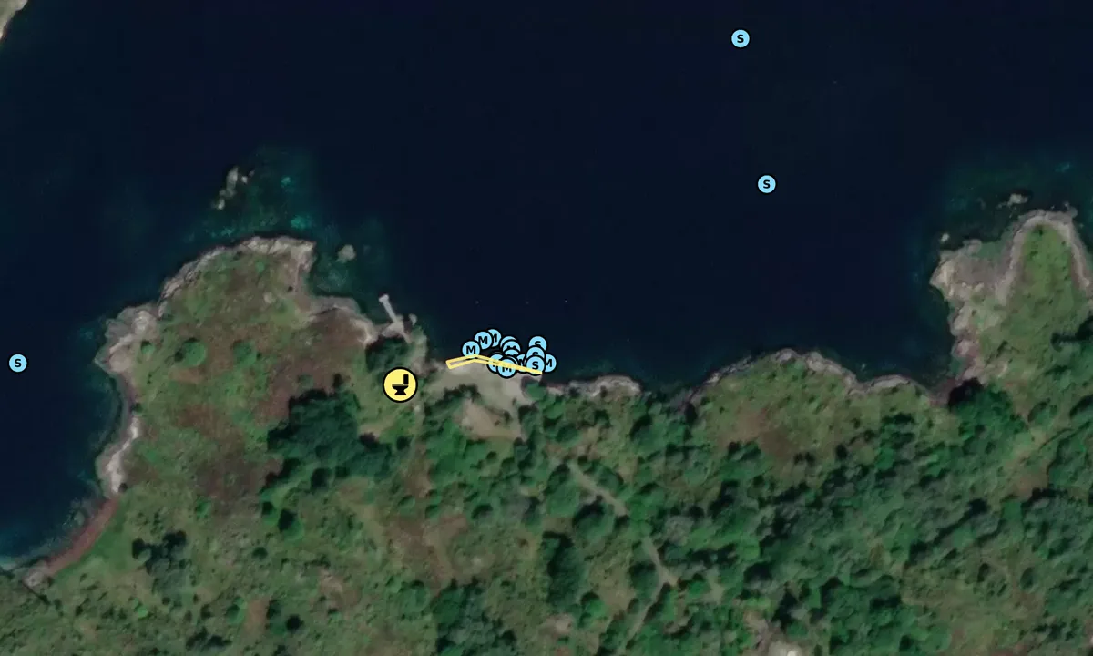 Flyfoto av Buarøya
