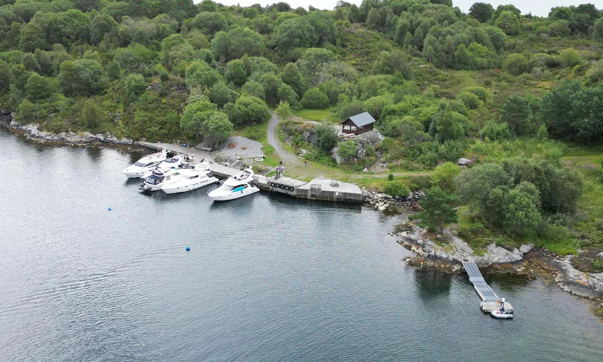 Buarøya