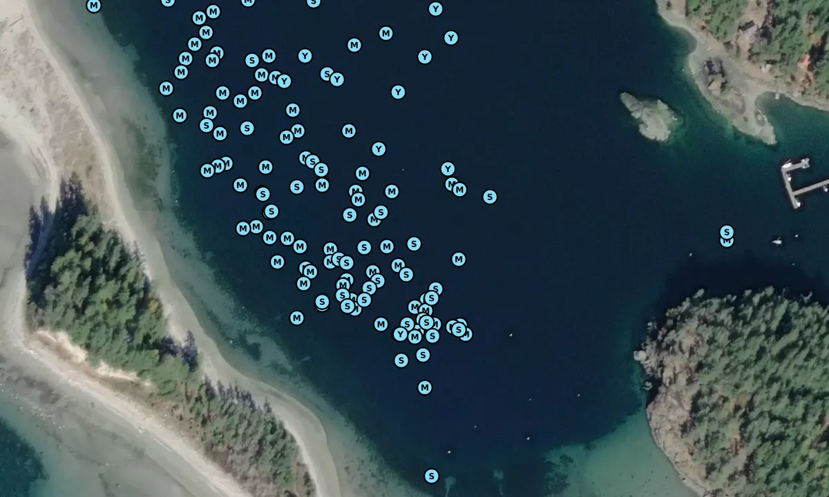 Satelite image of Buccaneer Bay