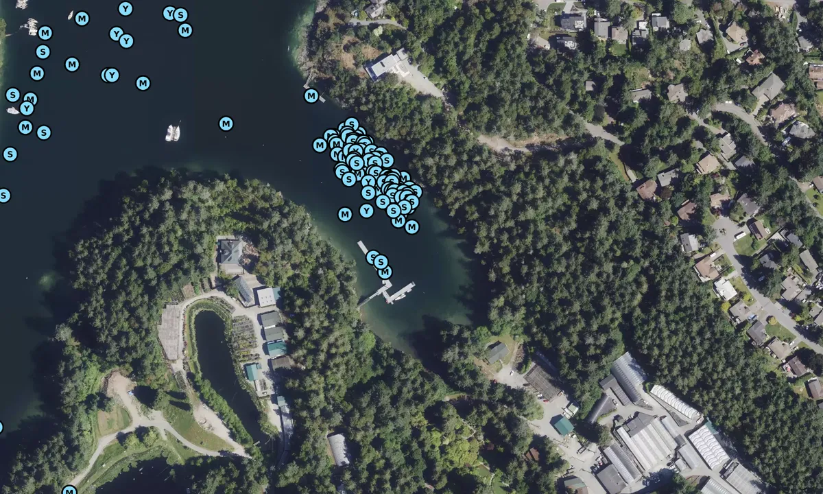 Satelite image of Buchart Gardens (moorings)