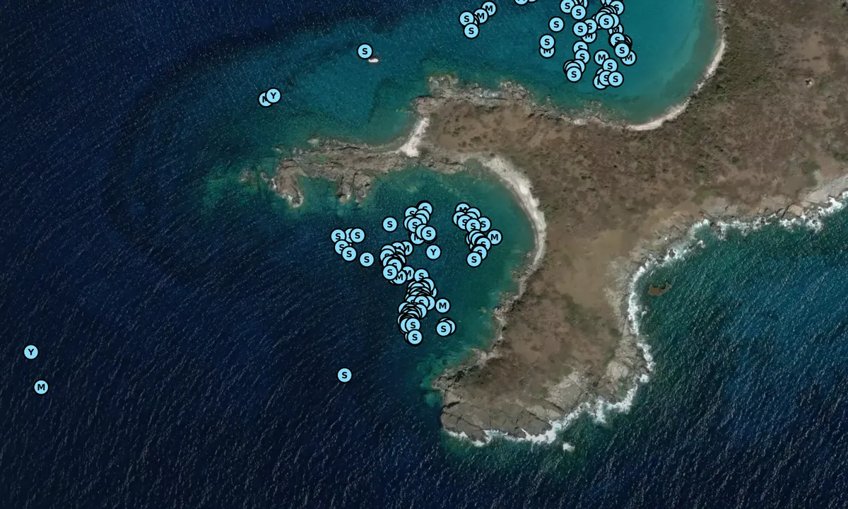 Satelite image of Buck Island Cove