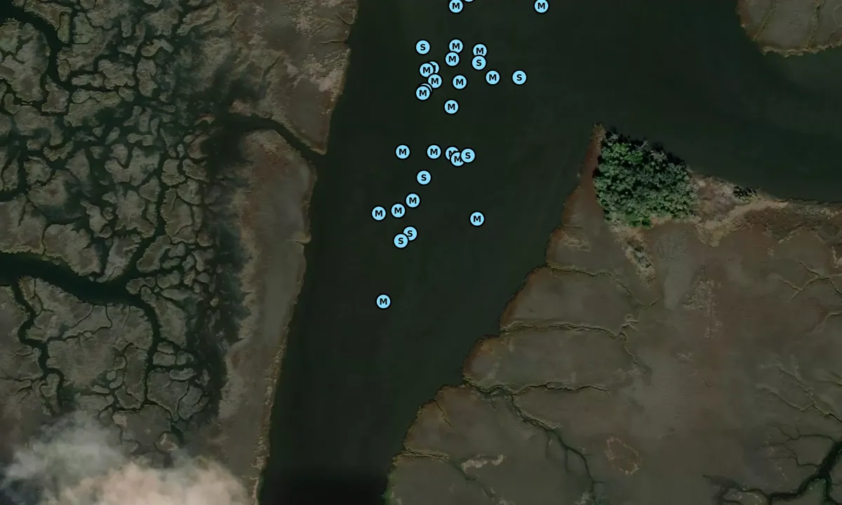 Satelite image of Buckhead Creek - 1