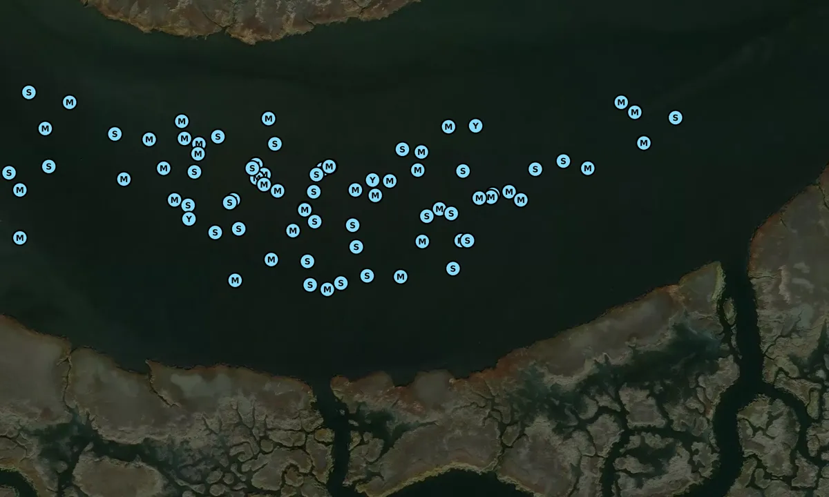Satelite image of Buckhead Creek Top