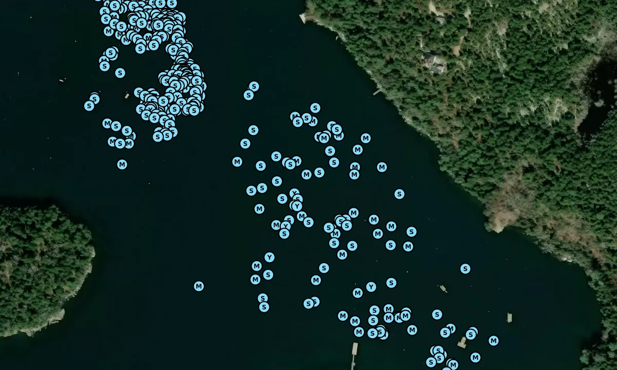 Satelite image of Buck's Harbor