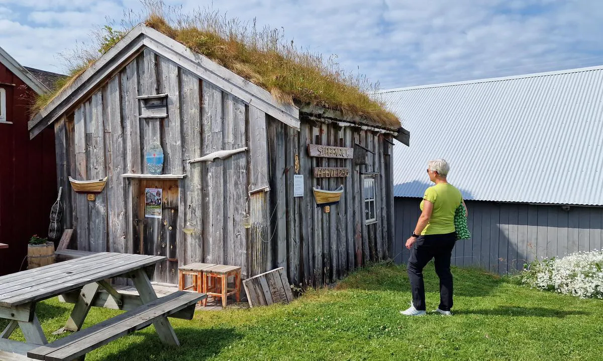Bud Gjestehavn: {"base": "no", "no": "Utsalg av lokal brukskunst.", "se": "F\u00f6rs\u00e4ljning av lokal brukskonst.", "en": "Sale of local handicrafts.", "da": "Udsalg af lokal brugskunst."}