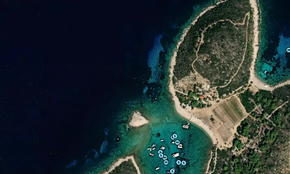 Satelite image of Budicovac Island