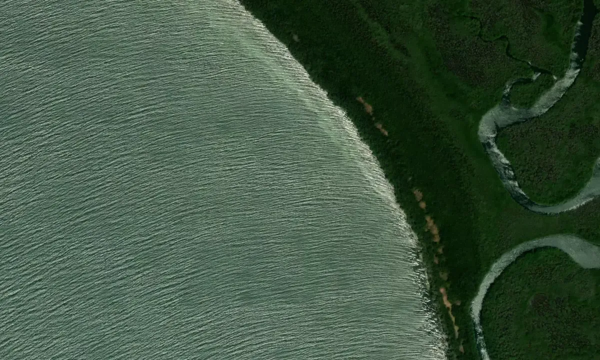 Satelite image of Buena Vista 1