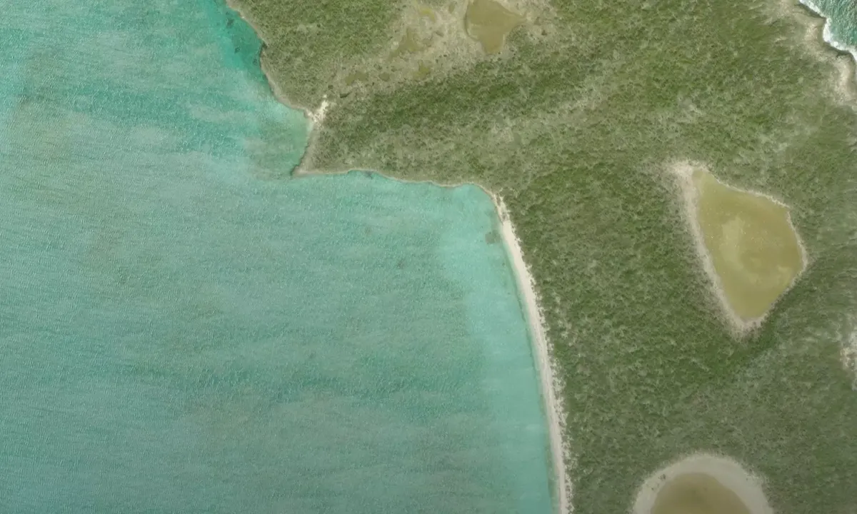 Satelite image of Buena Vista Cay (North)