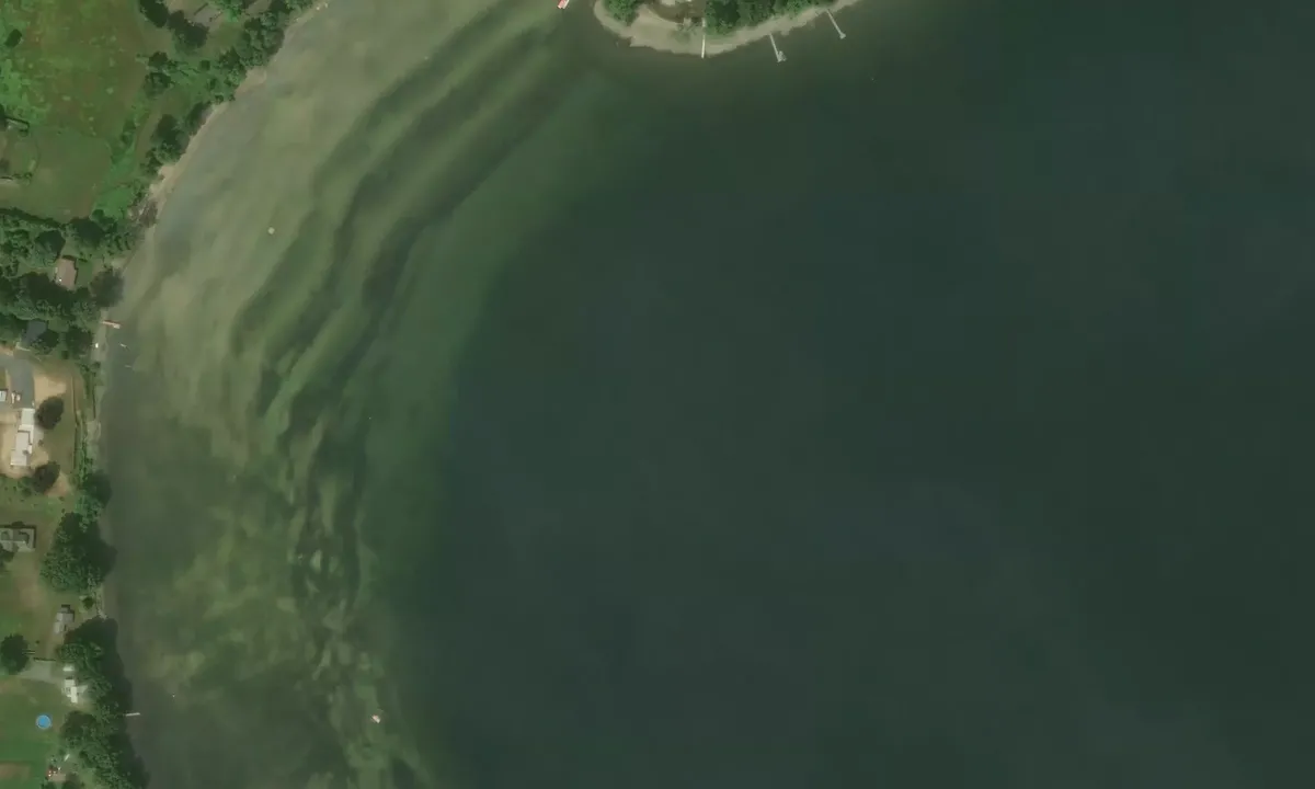 Satelite image of Buena Vista Park
