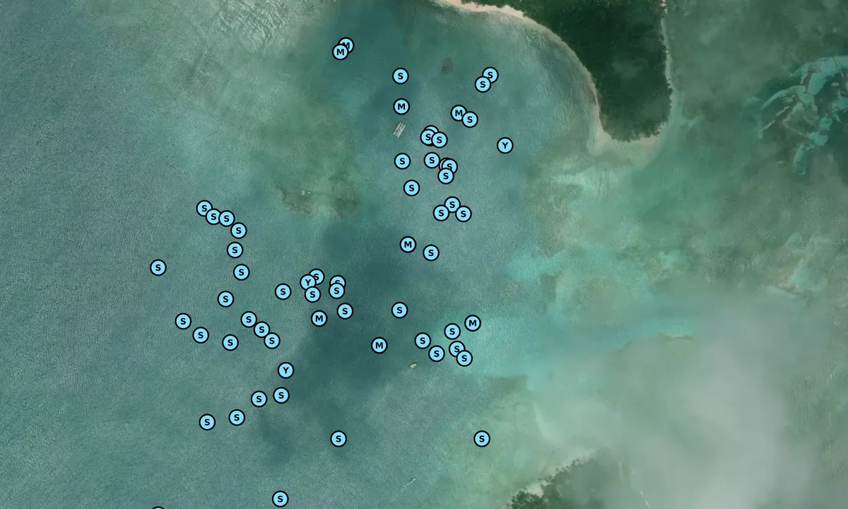Satelite image of Bug Island