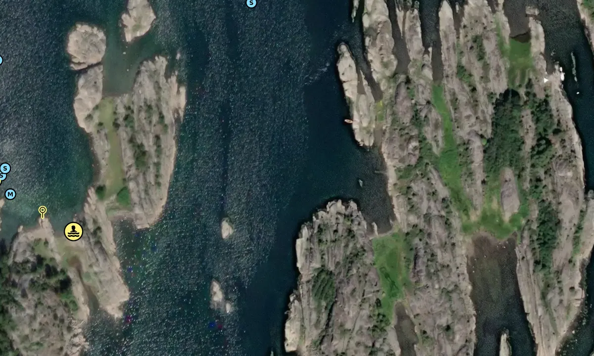 Satelite image of Bukkholmen - Tønsbergfjorden