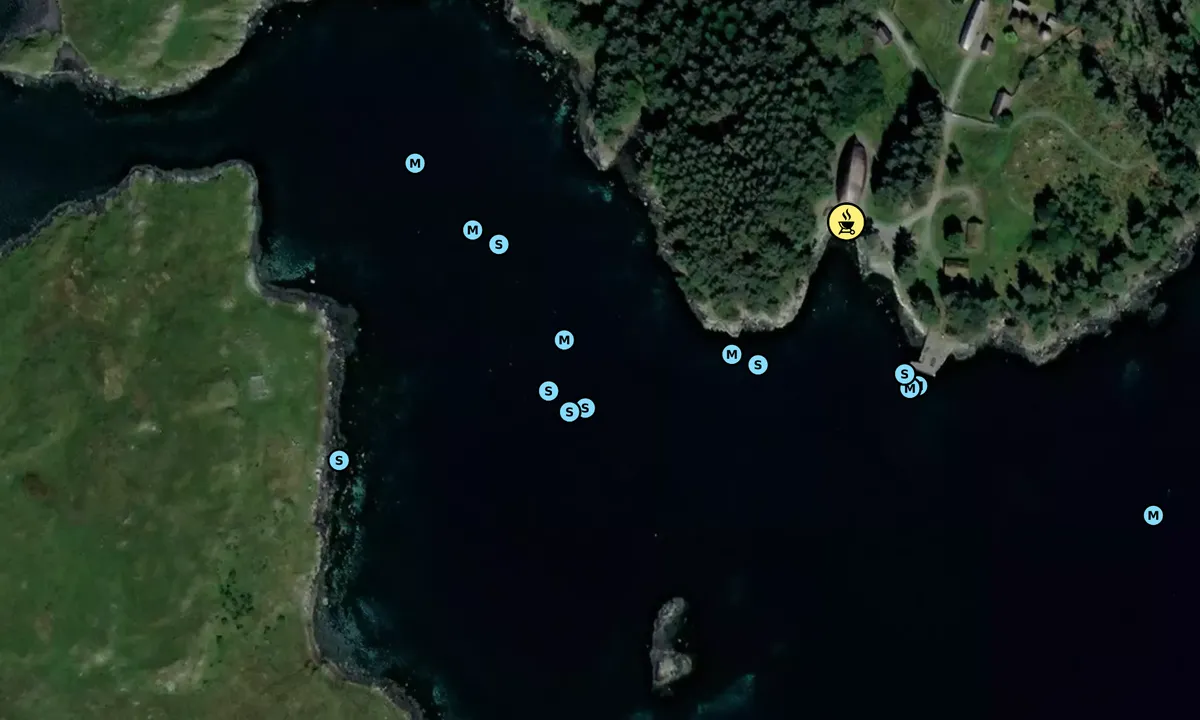 Satelite image of Bukkøya - Forøya - Gloppe