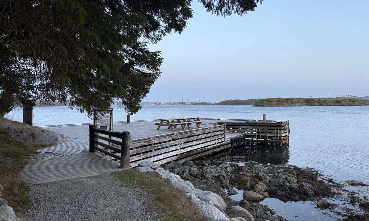 Bukkøys