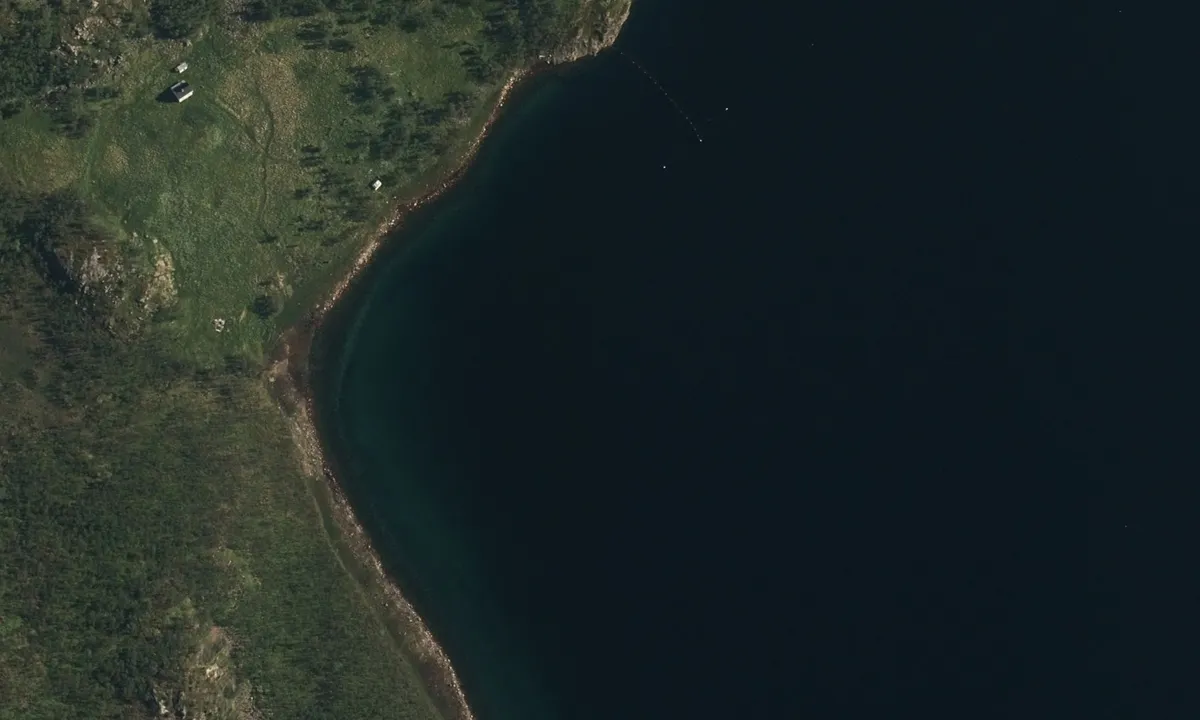 Flyfoto av Bukta