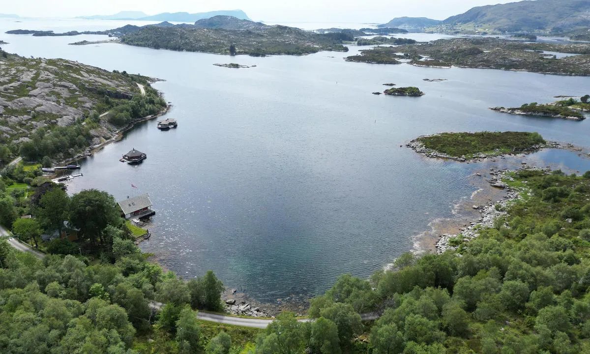 Bukta - Kalvåg: {"base": "no", "no": "Godt beskytta havn.  Nokre flytande hytter er ankra opp.  \r\nDjupn;  11-12 mtr Gj\u00f8rmebotn", "se": "V\u00e4l skyddad hamn. N\u00e5gra flytande hytter \u00e4r ankrade. Djup; 11-12 mtr Gyttjebotten", "en": "Well-protected harbor. A few floating cabins are anchored up. Depth; 11-12 meters Mud bottom", "da": "Godt beskyttet havn. Nogle flydende hytter er ankret op. Dybde; 11-12 mtr Mudderbund"}