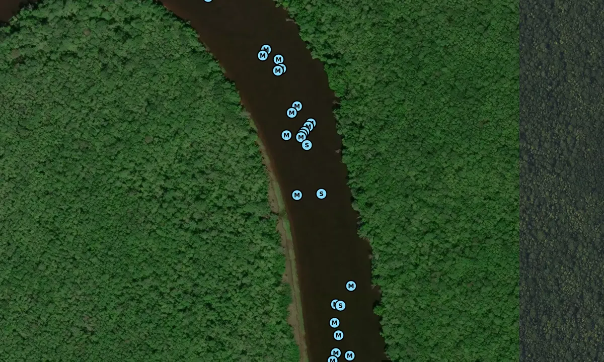 Satelite image of Bull Creek 2