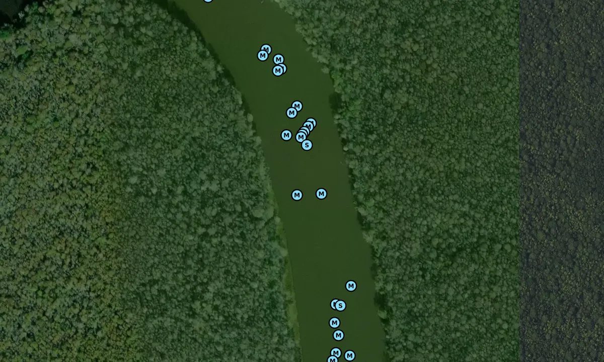 Satelite image of Bull Creek 2