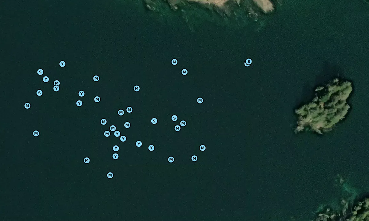 Satelite image of Bullhead Cove