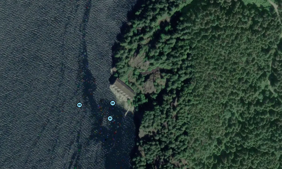 Satelite image of Buntzen Power Station