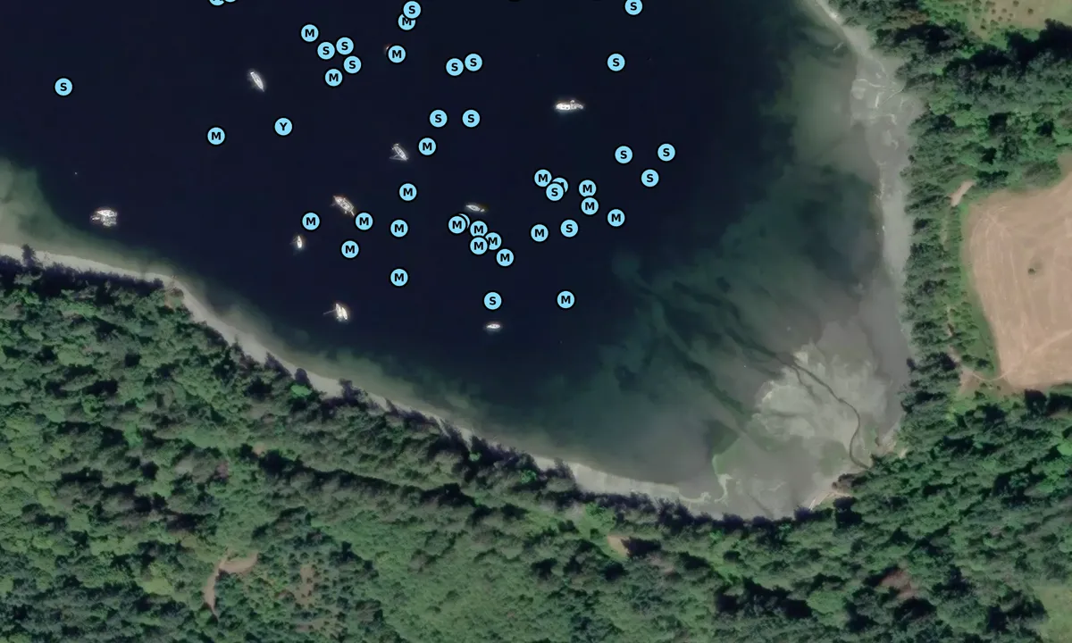 Satelite image of Burgoyne Bay