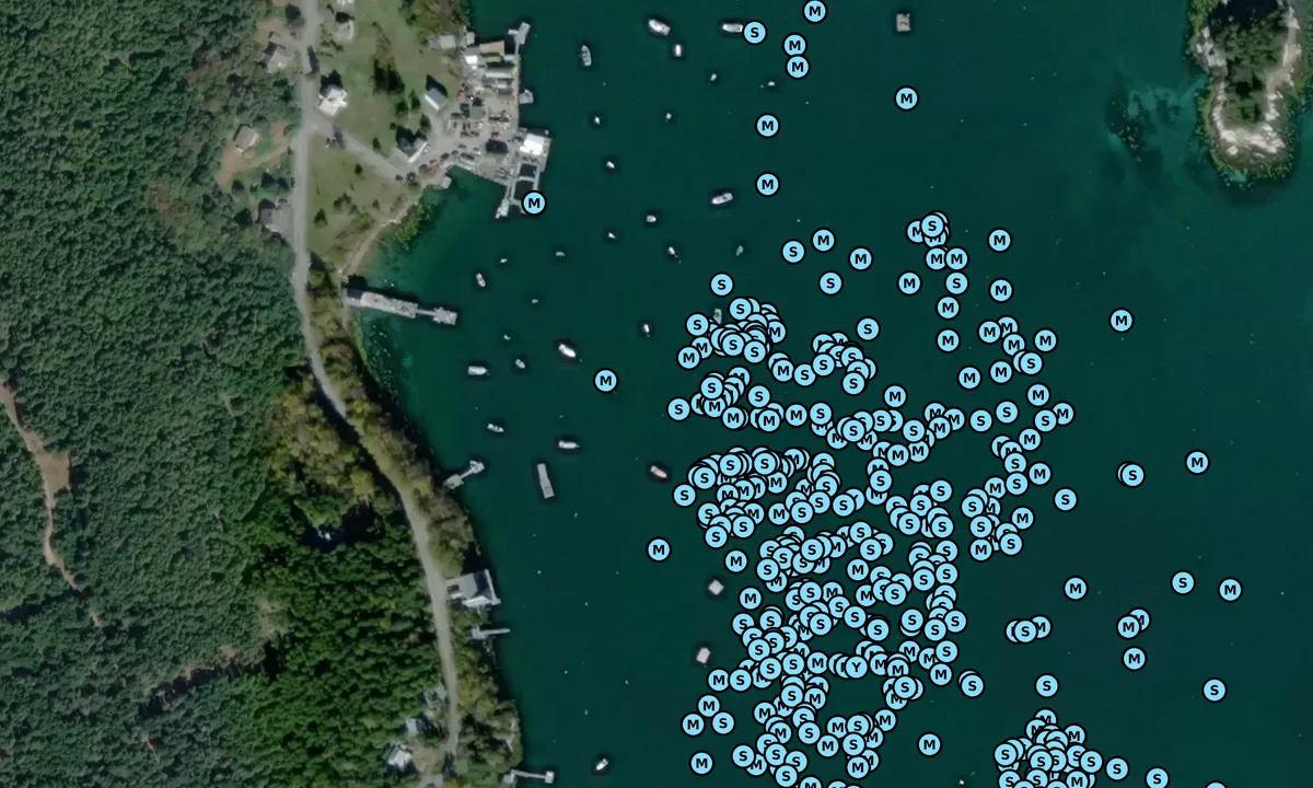 Satelite image of Burnt Coat Harbor