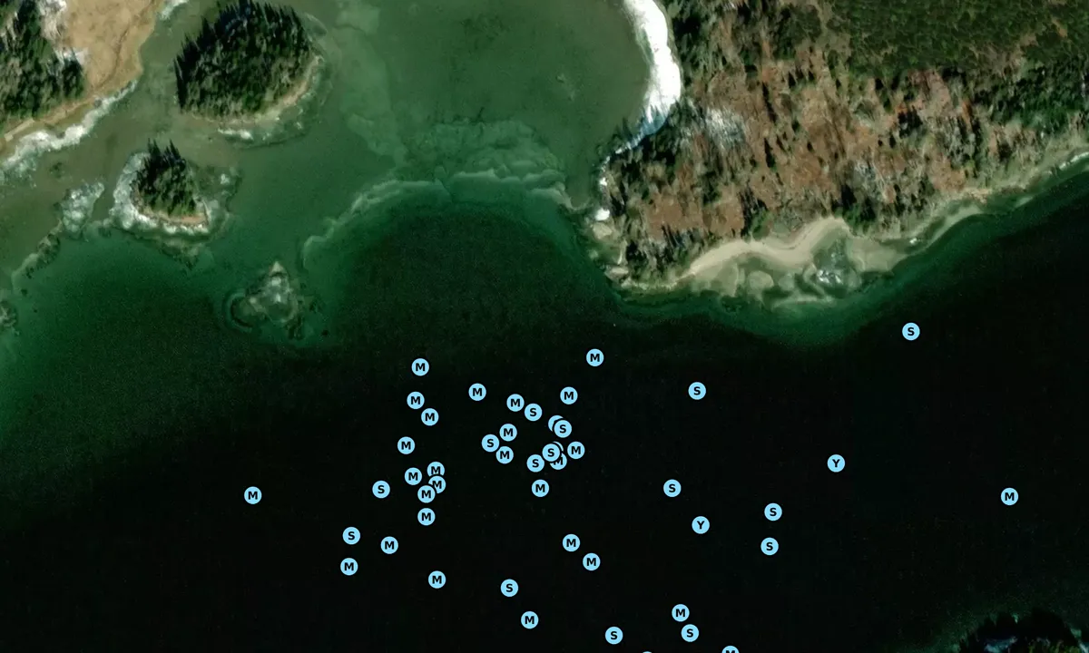 Satelite image of Burnt Island (Public Park)