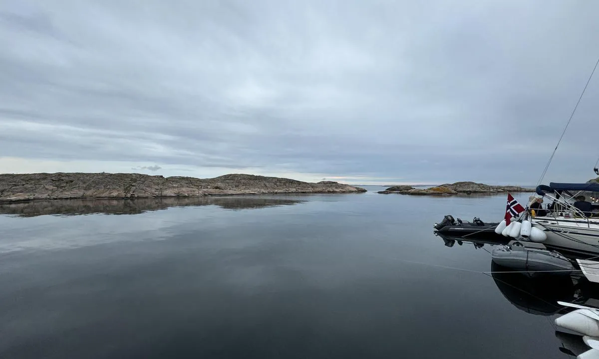 Buröarna