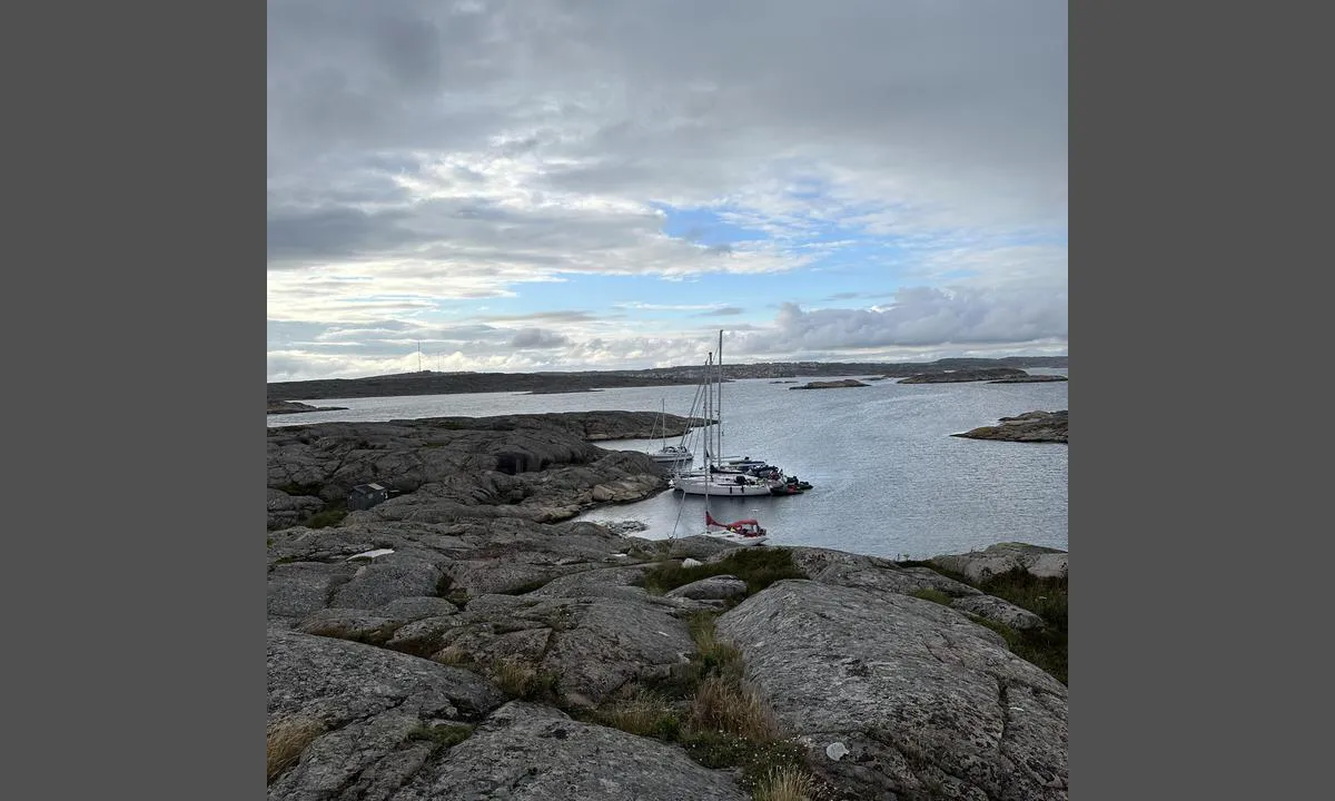 Buröarna