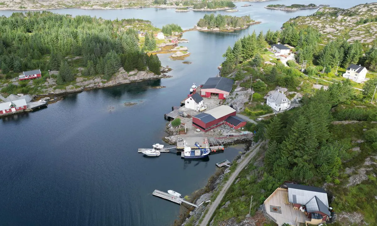 Buskøy: {"base": "en", "no": "Ser inngangen mot nord.", "se": "Ser mot ing\u00e5ngen norrut.", "en": "Looking entrance north.", "da": "Kigger indsejling nord."}