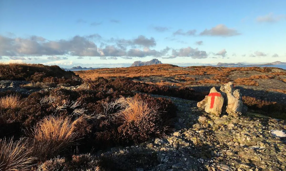 Bildet er tatt langs stien til Buskøyhola på østsiden av øya.