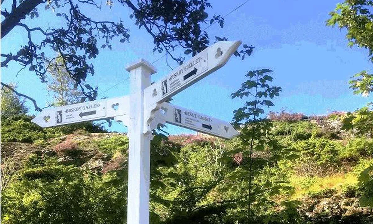 Buskøy: {"base": "no", "no": "Det er 4 merkede turl\u00f8yper p\u00e5 \u00f8ya.", "se": "Det finns 4 markerade vandringsleder p\u00e5 \u00f6n.", "en": "There are 4 marked hiking trails on the island.", "da": "Der er 4 markerede vandrestier p\u00e5 \u00f8en."}