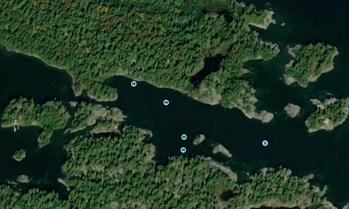 Satelite image of Bustard Islands Harbour East