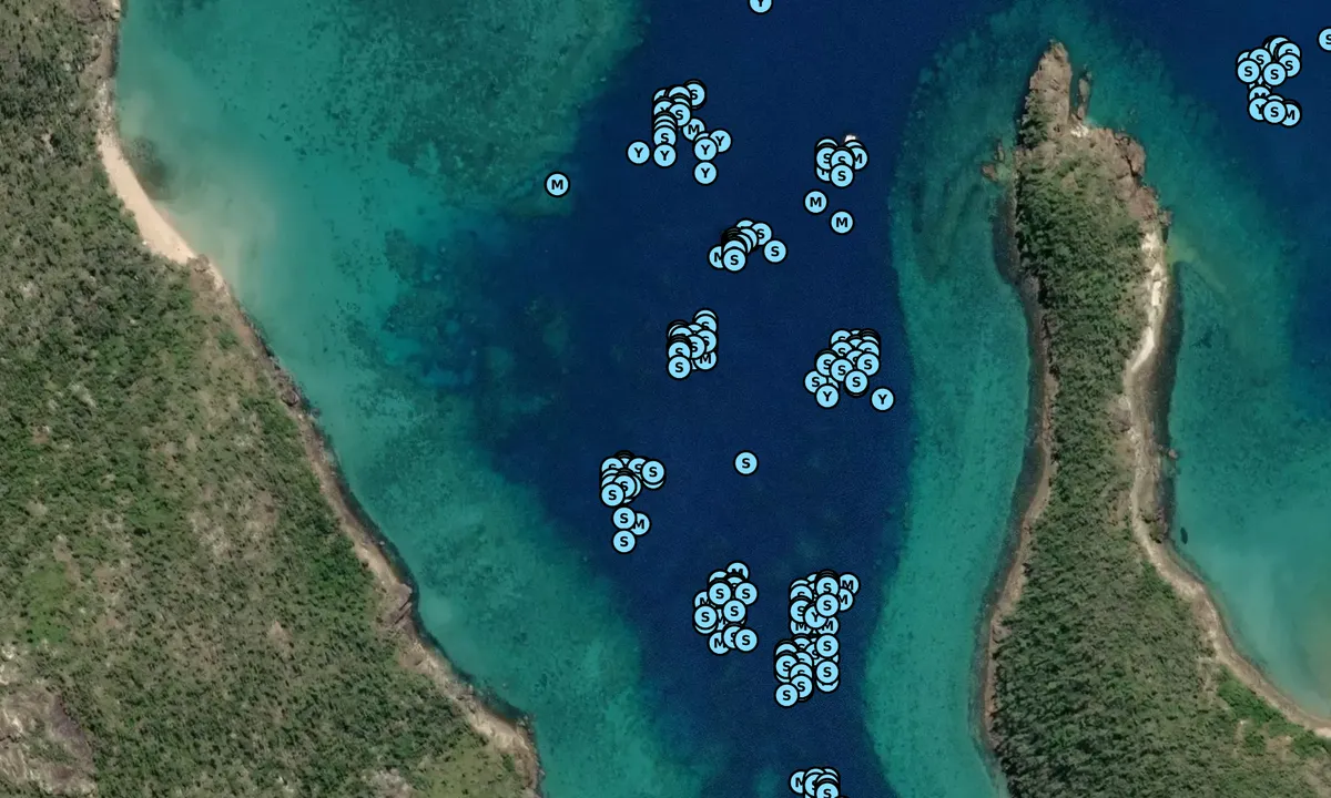 Satelite image of Butterfly Bay