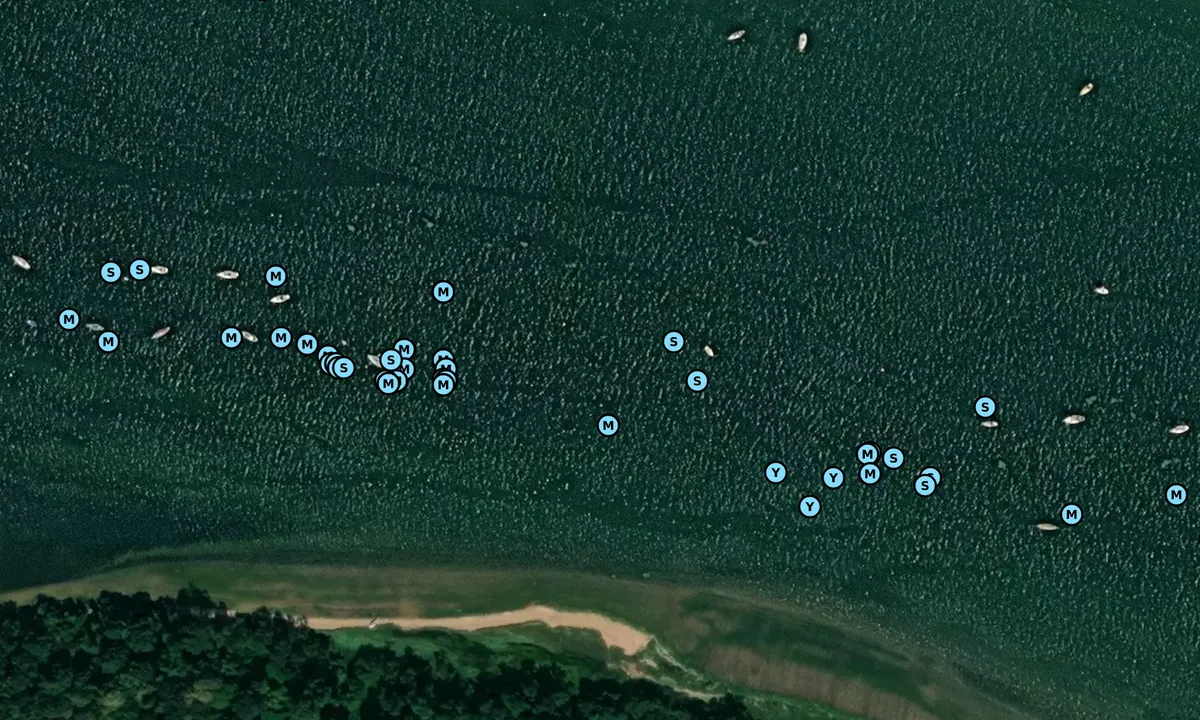 Satelite image of Buttermans Bay, R. Orwell