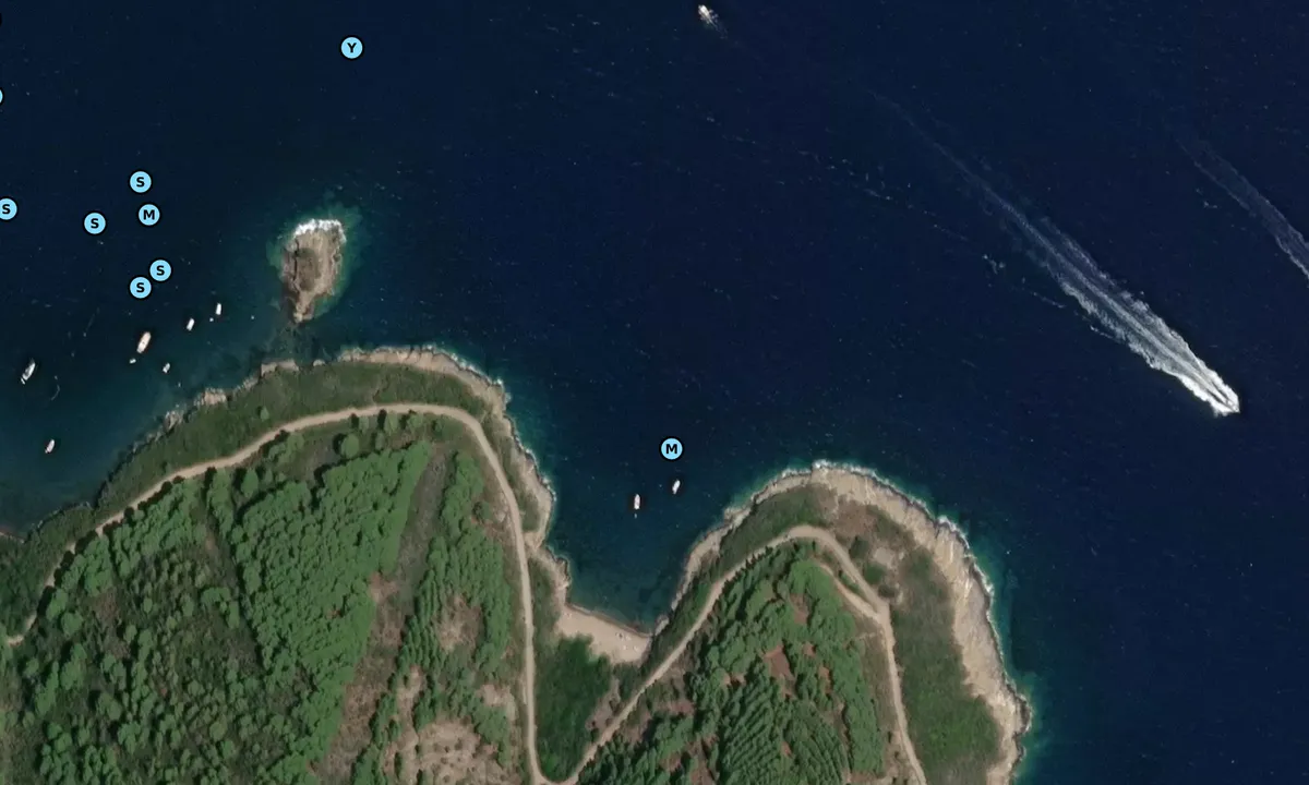 Satelite image of Buzzancone