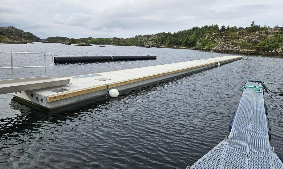 Byrknesøy båtforening: {"base": "no", "no": "Gjesteplasser p\u00e5 begge sider av betongbrygge.", "se": "G\u00e4stplatser p\u00e5 b\u00e5da sidor av betongbryggan.", "en": "Guest berths on both sides of the concrete pier.", "da": "G\u00e6stepladser p\u00e5 begge sider af betonbroen.", "fr": "Places pour visiteurs des deux c\u00f4t\u00e9s du quai en b\u00e9ton.", "de": "G\u00e4steliegepl\u00e4tze auf beiden Seiten des Betonstegs.", "es": "Plazas de hu\u00e9spedes en ambos lados del muelle de hormig\u00f3n.", "it": "Posti per ospiti su entrambi i lati del molo di cemento.", "pt": "Lugares para visitantes em ambos os lados do pont\u00e3o de concreto.", "nl": "Gastenplaatsen aan beide zijden van de betonnen steiger.", "pl": "Miejsca dla go\u015bci po obu stronach betonowego pomostu.", "uk": "\u0413\u043e\u0441\u0442\u044c\u043e\u0432\u0456 \u043c\u0456\u0441\u0446\u044f \u0437 \u043e\u0431\u043e\u0445 \u0431\u043e\u043a\u0456\u0432 \u0431\u0435\u0442\u043e\u043d\u043d\u043e\u0433\u043e \u043f\u0440\u0438\u0447\u0430\u043b\u0443.", "ro": "Locuri pentru oaspe\u021bi pe ambele p\u0103r\u021bi ale digului de beton.", "tr": "Beton iskelede her iki taraf\u0131nda misafir yerleri bulunmaktad\u0131r.", "el": "\u0398\u03ad\u03c3\u03b5\u03b9\u03c2 \u03ba\u03b1\u03c4\u03b1\u03c0\u03bb\u03b5\u03c5\u03c3\u03bc\u03bf\u03cd \u03b5\u03c0\u03b9\u03c3\u03ba\u03b5\u03c0\u03c4\u03ce\u03bd \u03ba\u03b1\u03b9 \u03c3\u03c4\u03b9\u03c2 \u03b4\u03cd\u03bf \u03c0\u03bb\u03b5\u03c5\u03c1\u03ad\u03c2 \u03c4\u03b7\u03c2 \u03c0\u03c1\u03bf\u03b2\u03bb\u03ae\u03c4\u03b1\u03c2 \u03b1\u03c0\u03cc \u03c3\u03ba\u03c5\u03c1\u03cc\u03b4\u03b5\u03bc\u03b1.", "cs": "Hostuj\u00edc\u00ed m\u00edsta na obou stran\u00e1ch betonov\u00e9ho mola.", "hu": "Vend\u00e9ghelyek a betonkik\u00f6t\u0151 mindk\u00e9t oldal\u00e1n.", "fi": "Vieraspaikat molemmin puolin betonilaituria.", "bg": "\u041c\u0435\u0441\u0442\u0430 \u0437\u0430 \u0433\u043e\u0441\u0442\u0438 \u043e\u0442 \u0434\u0432\u0435\u0442\u0435 \u0441\u0442\u0440\u0430\u043d\u0438 \u043d\u0430 \u0431\u0435\u0442\u043e\u043d\u043d\u0438\u044f \u043a\u0435\u0439.", "sr": "Gostuju\u0107a mesta na obe strane betonskog mola.", "et": "Kohad k\u00fclalispurjekatele m\u00f5lemal pool betoonkaid.", "lv": "Viesu vietas ab\u0101s betona piest\u0101tnes pus\u0113s.", "lt": "Sve\u010di\u0173 vietos i\u0161 abiej\u0173 betoninio prieplaukos pusi\u0173."}