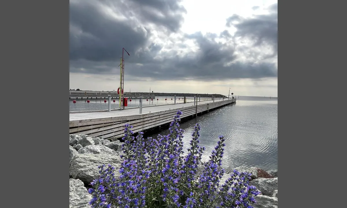 Byxelkroks Hamn: {"base": "no", "no": "Den s\u00f8rlige delen av gjestehavna virker helt ny (2023). Omr\u00e5dene rundt denne delen ser ogs\u00e5 ut til \u00e5 v\u00e6re oppgradert.", "se": "Den s\u00f6dra delen av g\u00e4sthamnen verkar helt ny (2023). Omr\u00e5dena runt denna del ser ocks\u00e5 ut att vara uppgraderade.", "en": "The southern part of the guest harbour feels brand new (2023). The areas around this part also appear to have been upgraded.", "da": "Den sydlige del af g\u00e6stehavnen virker helt ny (2023). Omr\u00e5derne omkring denne del ser ogs\u00e5 ud til at v\u00e6re opgraderet."}
