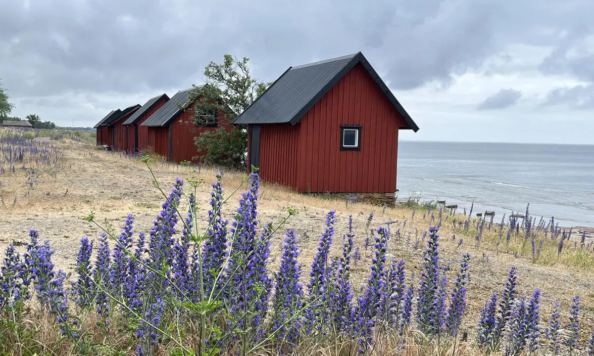 Byxelkrok: På veien til fyret