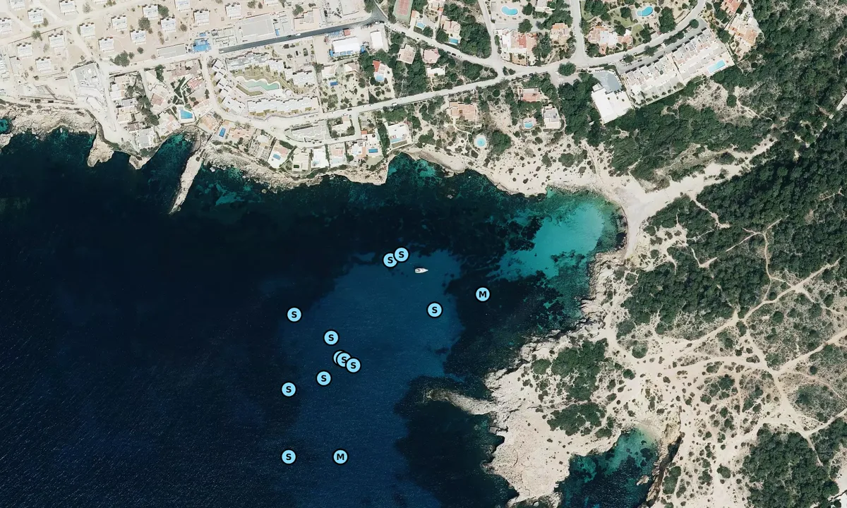 Satelite image of Cala Codolar