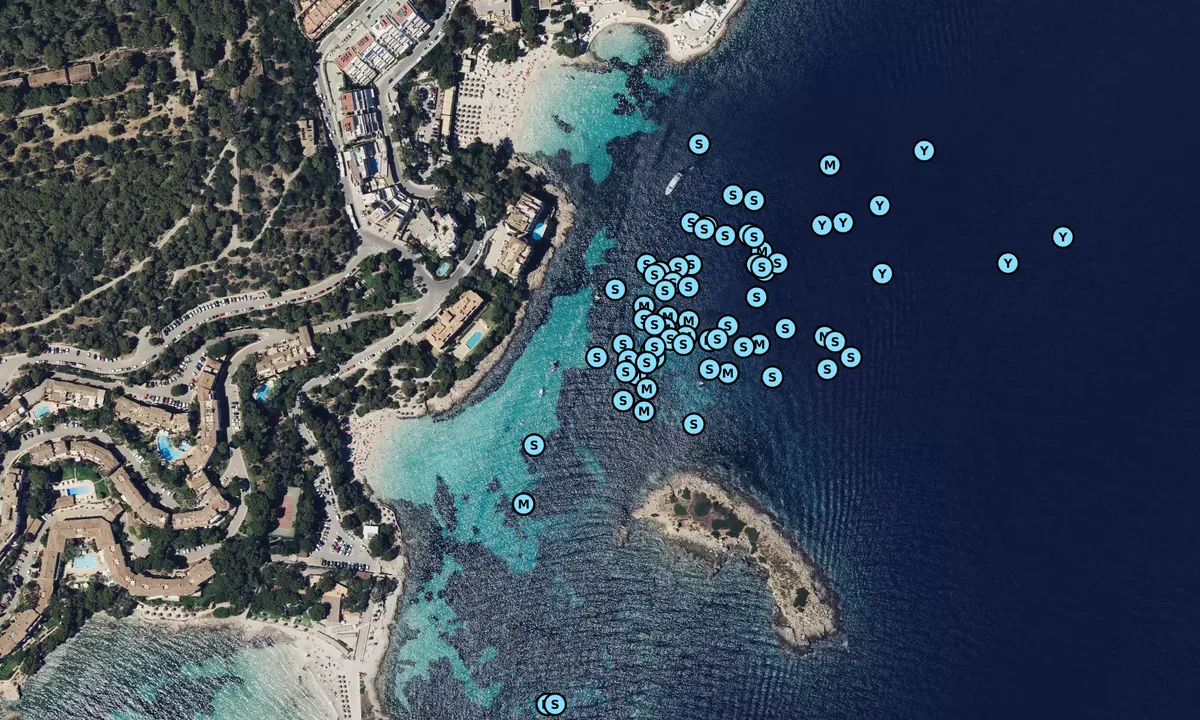 Satelite image of Cala Comtesa