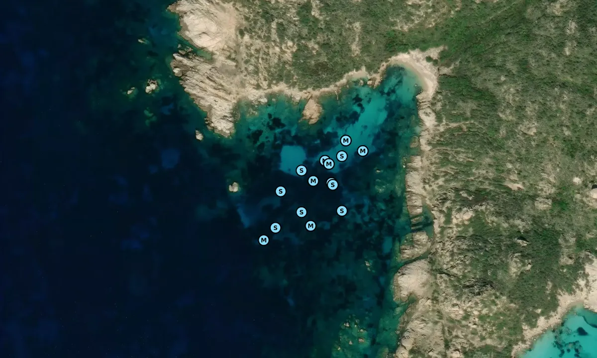 Satelite image of Cala d'Alga