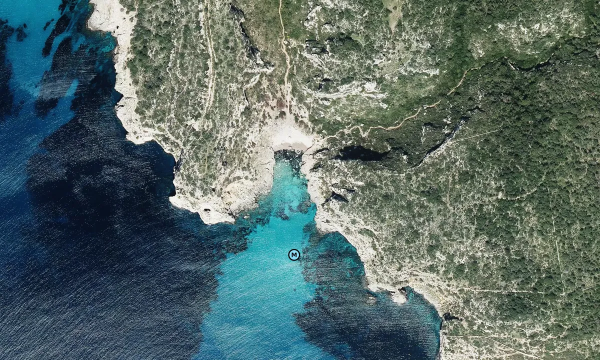 Satelite image of Cala de Llucalari