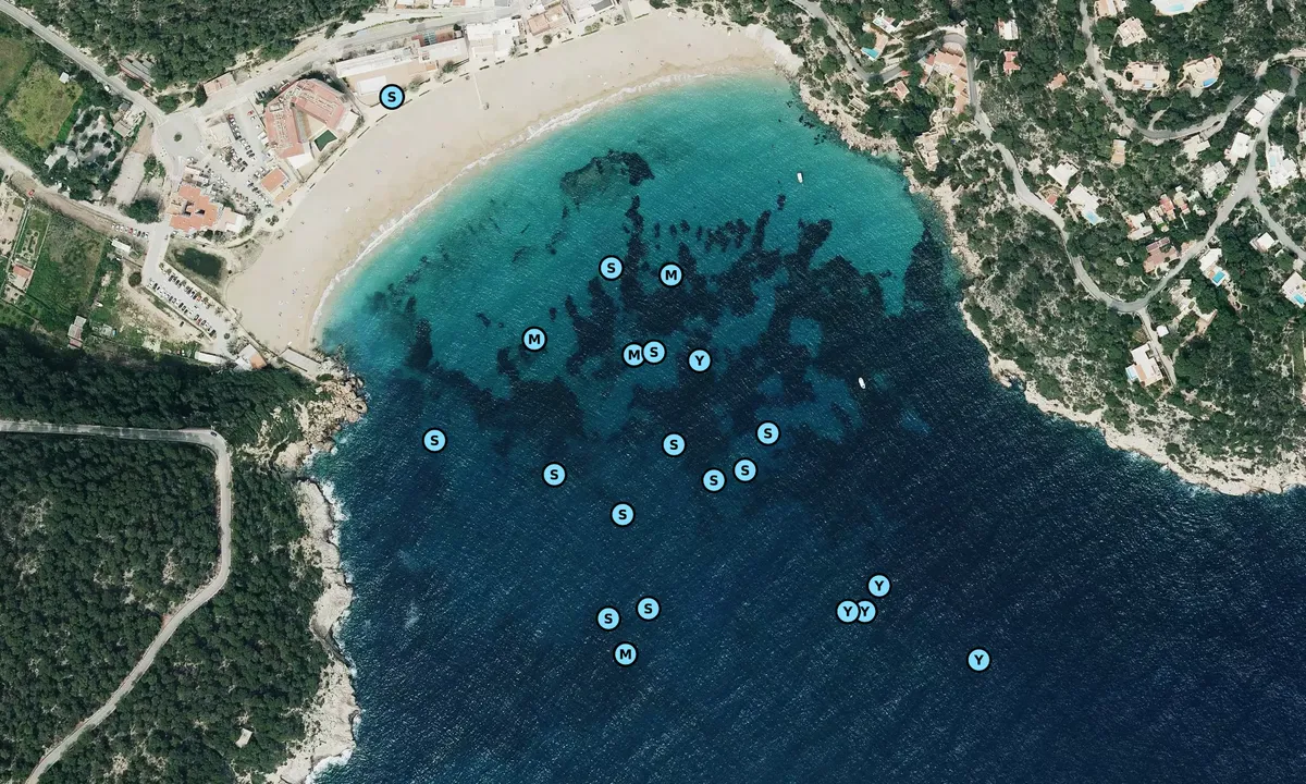 Satelite image of Cala de Sant Vincent
