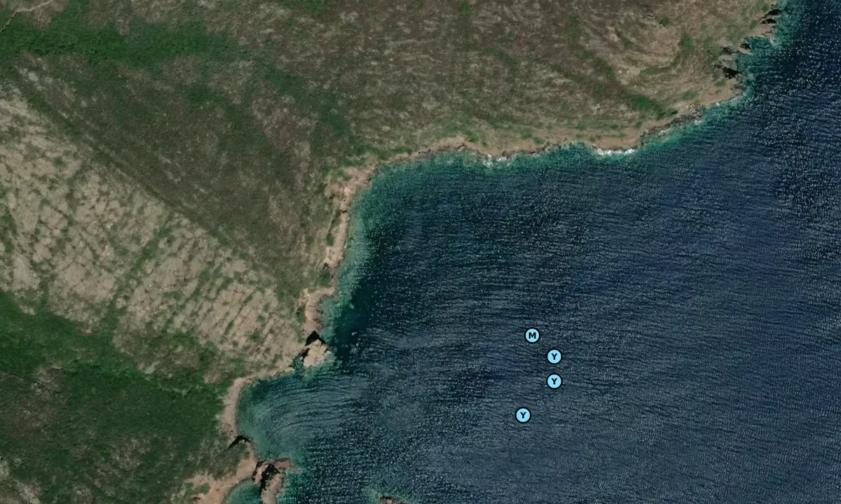 Satelite image of Cala dei Porcili