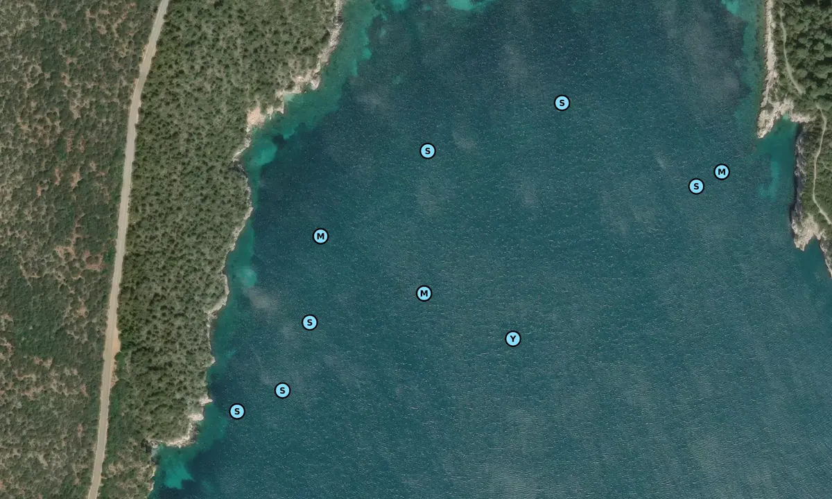 Satelite image of Cala del Bollo 1