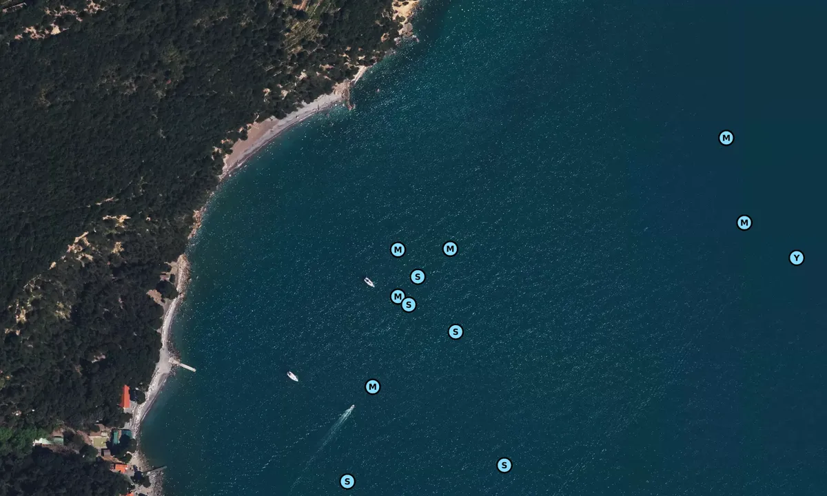 Satelite image of Cala del Pozzale